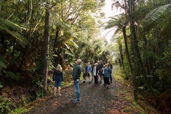 Afternoon Piha Beach and Rainforest Tour from Auckland - Practical Tips