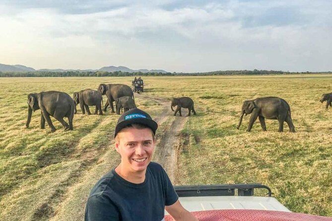 Afternoon Safari at Minneriya National Park - The Itinerary in Detail