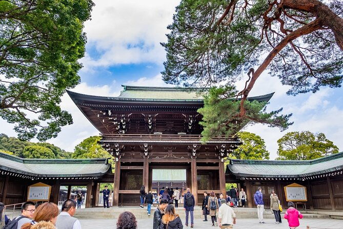 afternoon-small-group-tour-in-tokyo