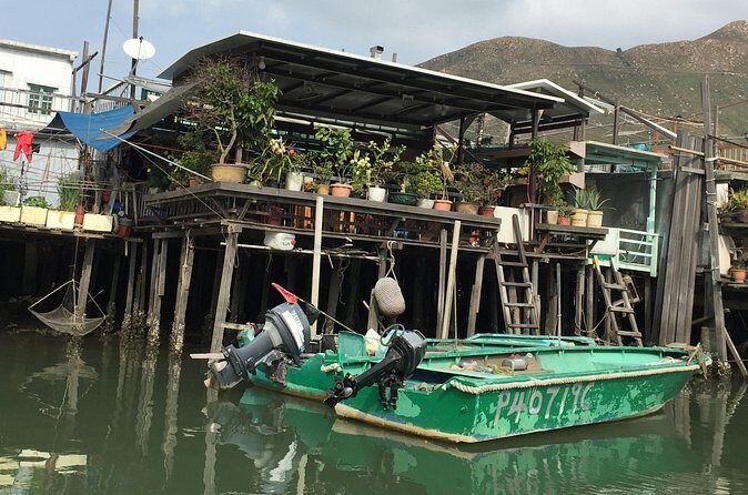 Afternoon tour - Lantau Enlightenment Tour - Final Thoughts: Who Will Love This Tour?