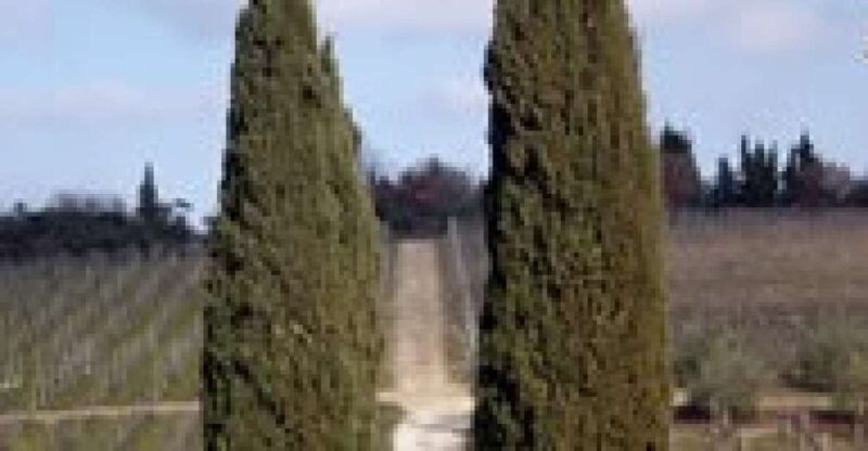 afternoon-tour-of-the-chianti-wine-region-in-tuscany