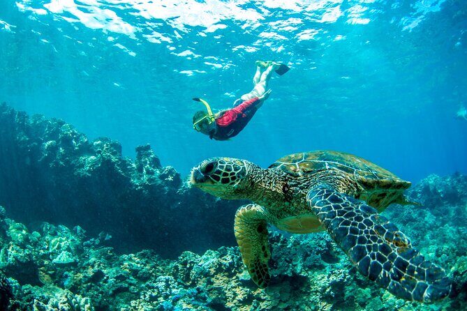 Afternoon West Maui Snorkel from Kaanapali Beach - Who Would Love This Tour?