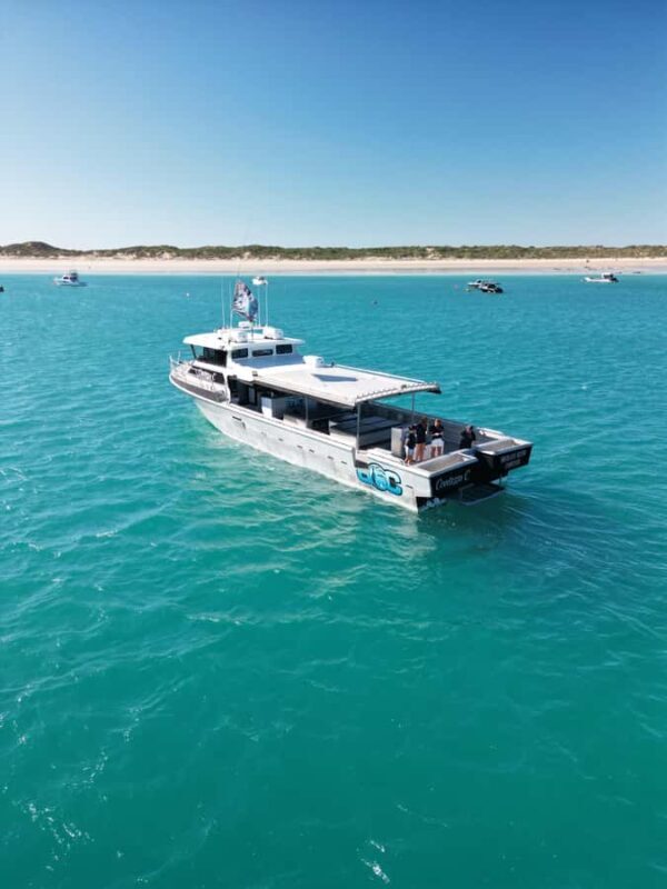 Afternoon Whale Watching Cruise in Broome - FAQs