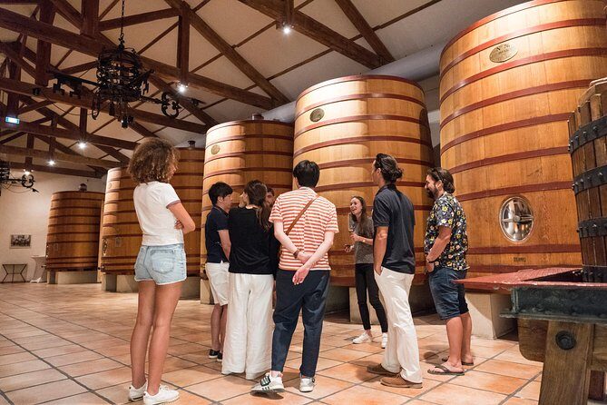 Afternoon Wine Tour to Chateauneuf du Pape from Avignon - Practical Details & Tips