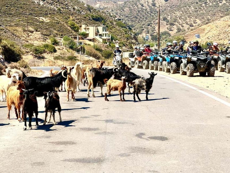 Ag. Pelagia Crete: Quad Safari to explore authentic villages - Duration and Pricing