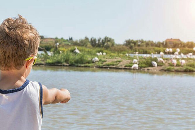 Agadir 2-Hour Horse Riding Experience with Pickup - What Is the Agadir Horse Riding Experience Really Like?