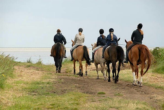 Agadir 2-Hour Horse Riding Experience with Pickup - Final Thoughts