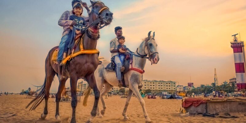 Agadir 2hours Horse Riding visite the flamingo river - Is This Tour Worth It?