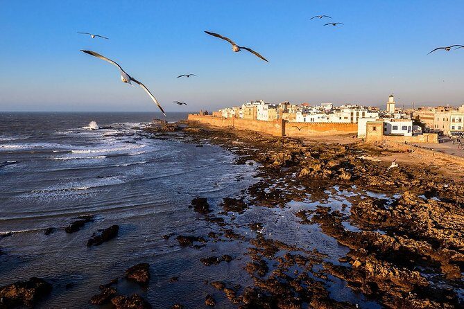 Agadir airport transfer to or from agadir city - Deep Dive into the Booking and Experience