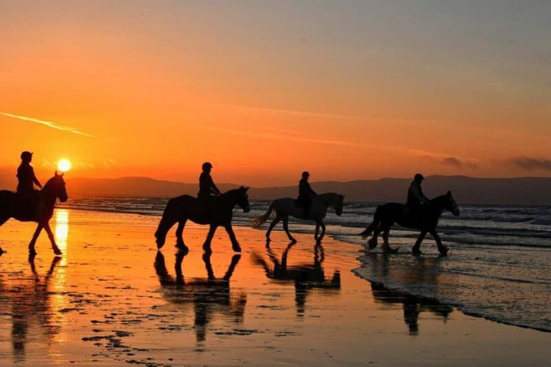 Agadir and Taghazout: 2-Hour Horseback Ride on the Beach - Authentic Reviews and Insights