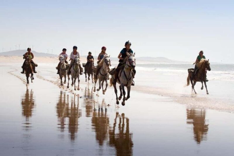 Agadir and Taghazout: 2-Hour Horseback Ride on the Beach - Practical Tips for Your Ride