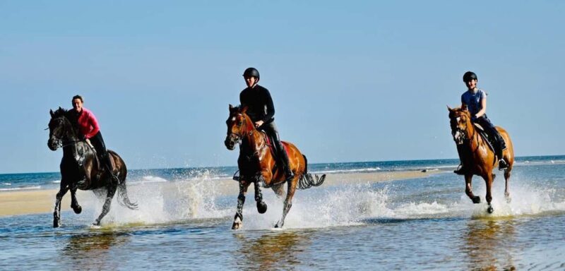 Agadir and Taghazout: Morning Horse Ride on The Beach - Key Points
