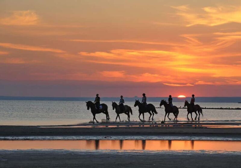 Agadir and Taghazout: Morning Horse Ride on The Beach - What to Expect on Your Horseback Ride