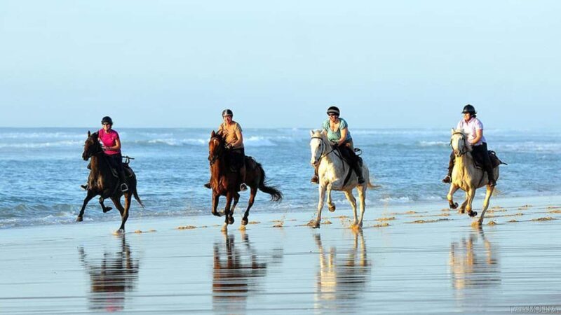 Agadir and Taghazout: Morning Horse Ride on The Beach - Who Will Love This Experience?