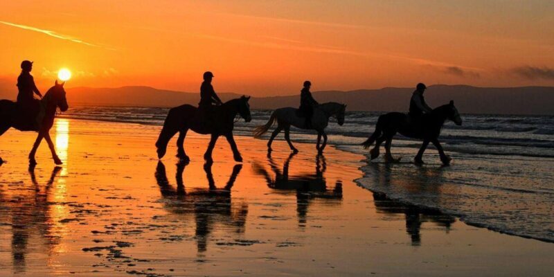 Agadir and Taghazout: Morning Horse Ride on The Beach - The Sum Up