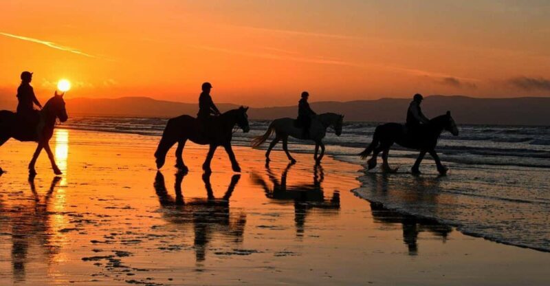 Agadir and Taghazout: Morning Horse Ride on The Beach - FAQ