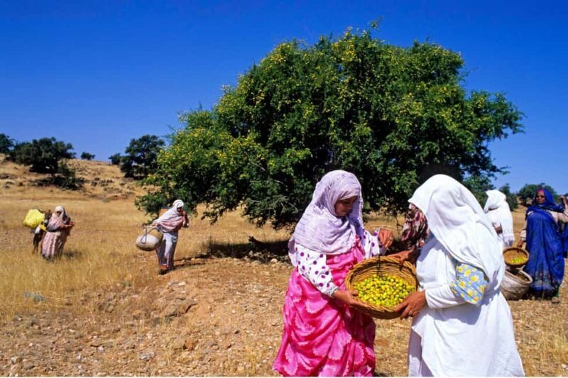 Agadir: Argan Oil Cooperative & Traditional Crafts Workshop - Key Points