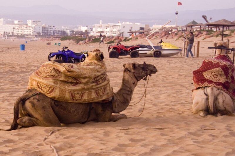Agadir: Argan Oil Factory Tour - Final Thoughts on Value and Authenticity