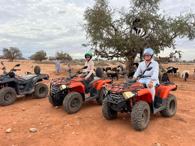 Agadir: ATV Quad Biking and Goats On Argan Trees with Tea - Key Points