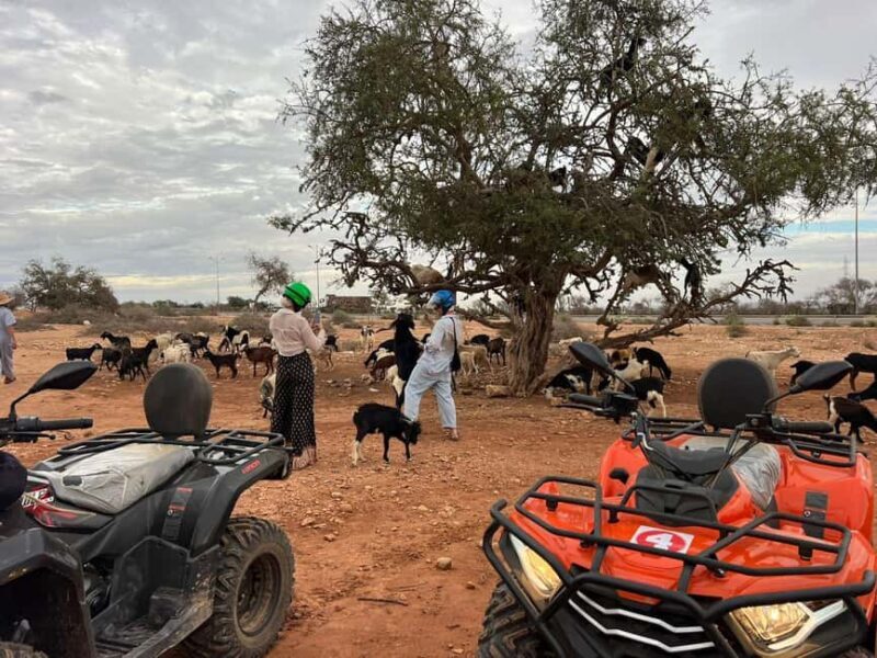 Agadir: ATV Quad Biking and Goats On Argan Trees with Tea - Who Is This Tour Best For?