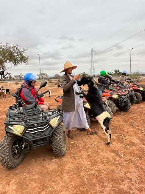 Agadir: ATV Quad Biking and Goats On Argan Trees with Tea - Final Thoughts