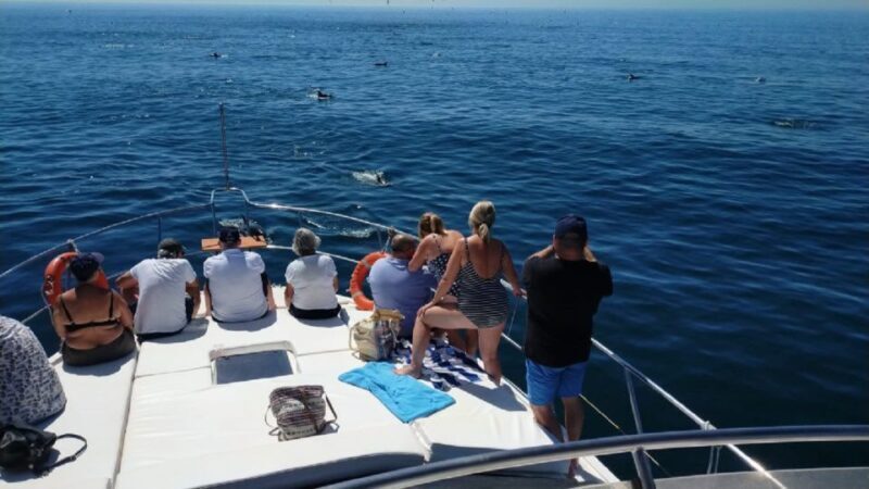Agadir: Boat Trip with Fishing, Swimming, and BBQ Lunch - What Makes This Boat Trip Stand Out?