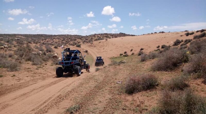 Agadir: Buggy Safari Adventure - Final Thoughts: Is It Worth It?