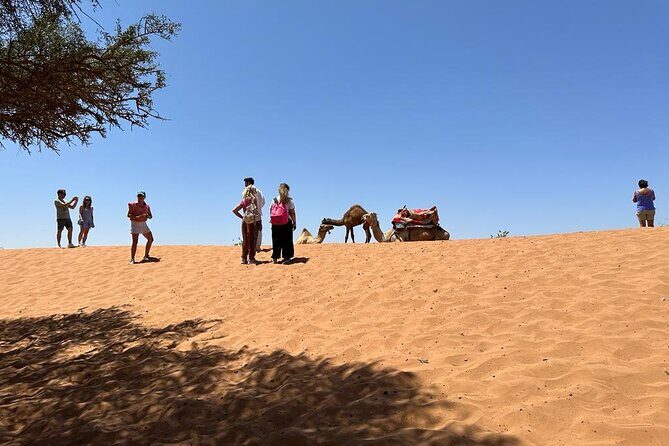 Agadir Buggy Tour and Sandboarding - A Closer Look at the Experience