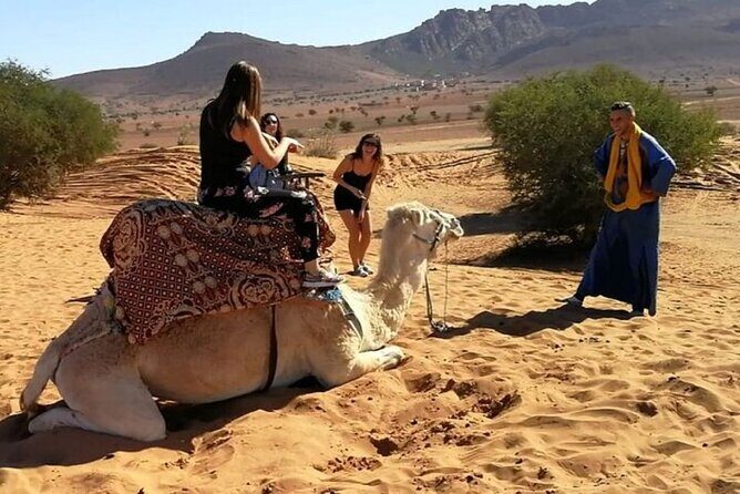 Agadir Buggy Tour and Sandboarding - The Sum Up