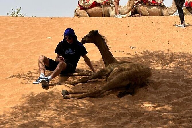 Agadir Buggy Tour and Sandboarding - FAQs
