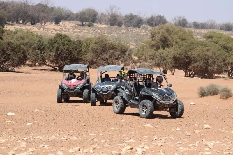 Agadir: Buggy Tour with Hotel Pick up - Authentic Experiences and Insights from Reviews