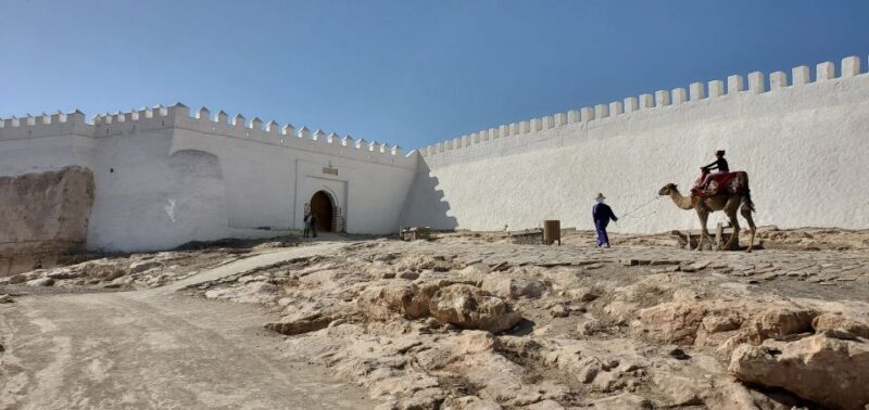 Agadir: Cable Car Ticket and Guided City Tour - An In-Depth Look at the Tour Experience