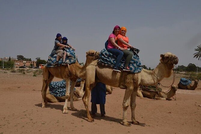 Agadir Camel Ride Experience - Key Points