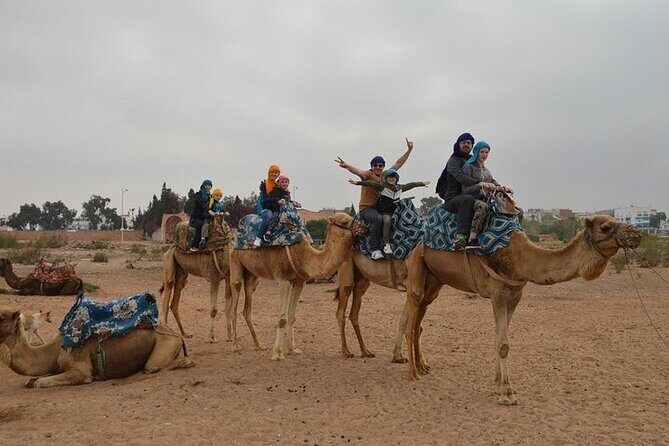Agadir Camel Ride Experience - Why This Tour Offers Good Value