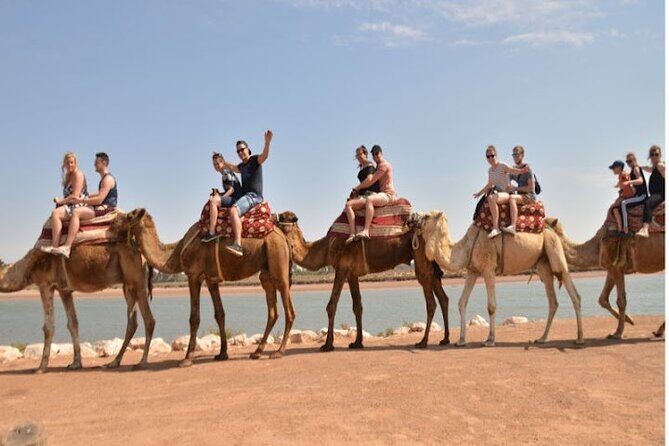 Agadir Camel Ride Experience - Who Will Love This Experience?