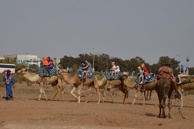Agadir Camel Ride Experience - FAQ