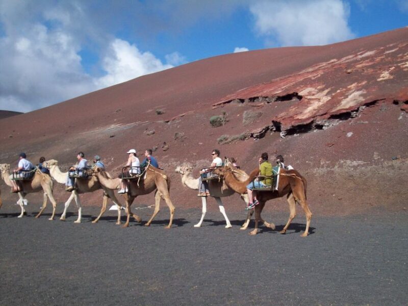 Agadir Camel Ride Flamingo River & BBQ Dinner - The Sum Up: Is It Worth It?