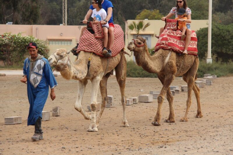 Agadir Camel Ride Flamingo River & BBQ Dinner - Frequently Asked Questions