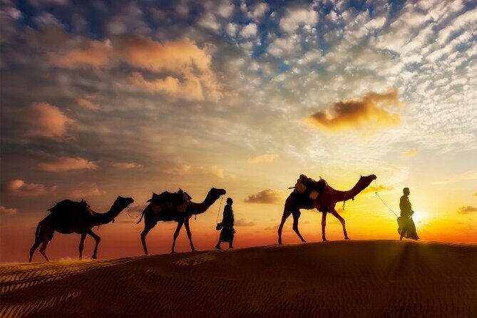 Agadir Camel Ride Tour - Practical Details: What You Should Know