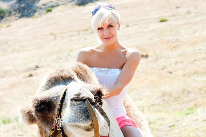 Agadir Camel Ride Tour - Who Would Enjoy This Tour?