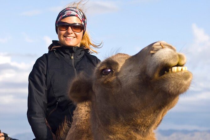 Agadir Camel Ride Tour - The Sum Up: Who Should Consider This Tour?