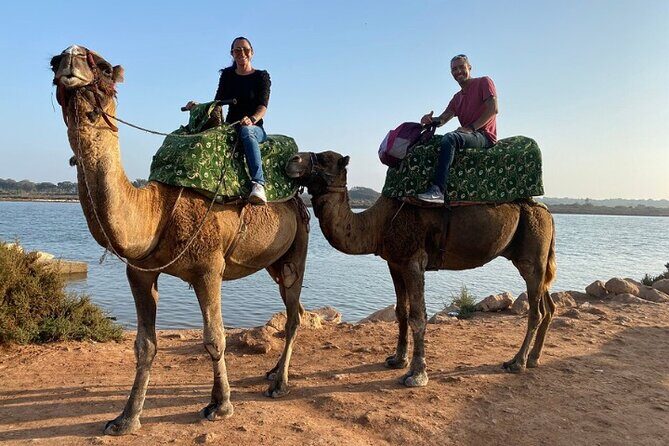 Agadir Camel Ride with BBQ and Couscous - Authenticity & Guide Experience