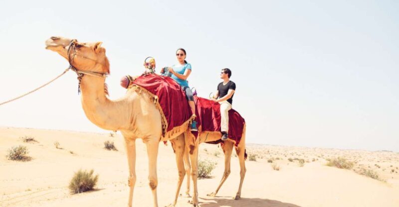 Agadir: Camel Ride With Tea - Agadir: Camel Ride With Tea – A Relaxing Moroccan Escape