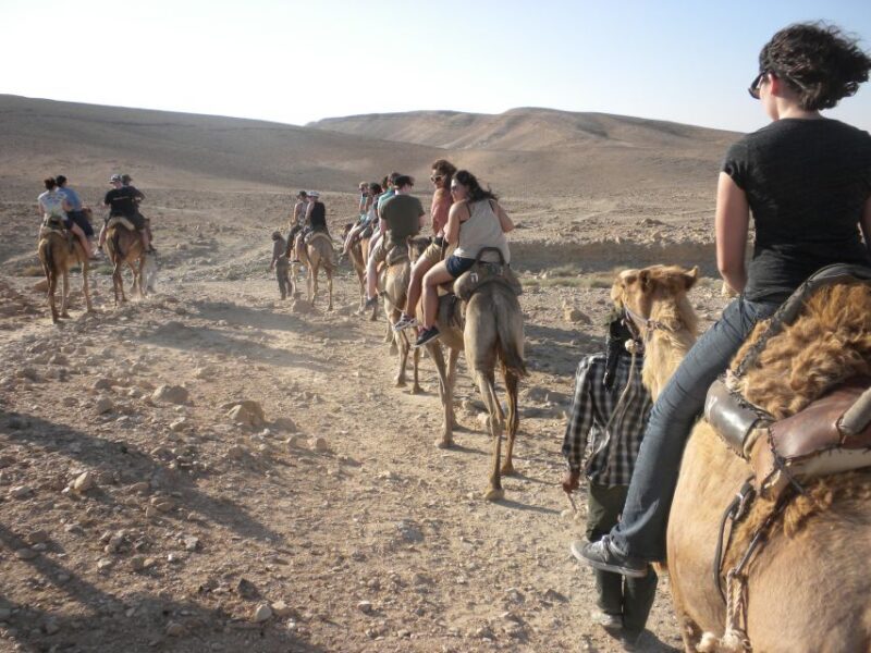 Agadir: Camel Ride With Tea - Key Points