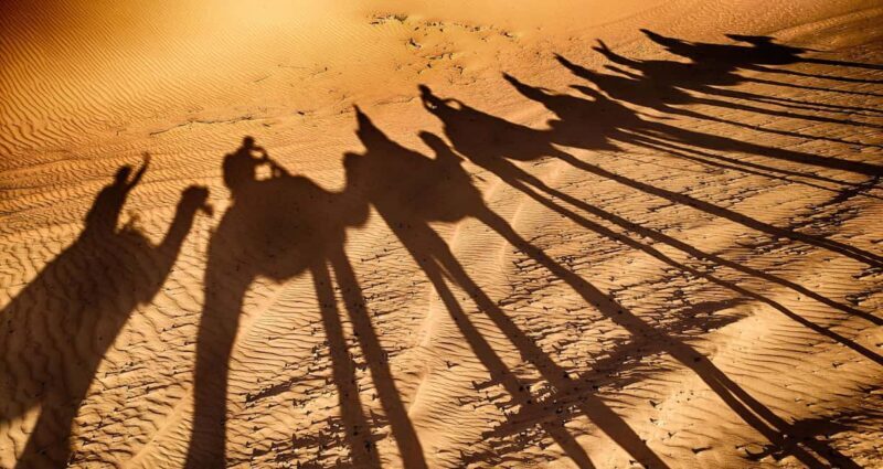 Agadir: Camel Ride With Tea & BBQ Dinner Option - Key Points