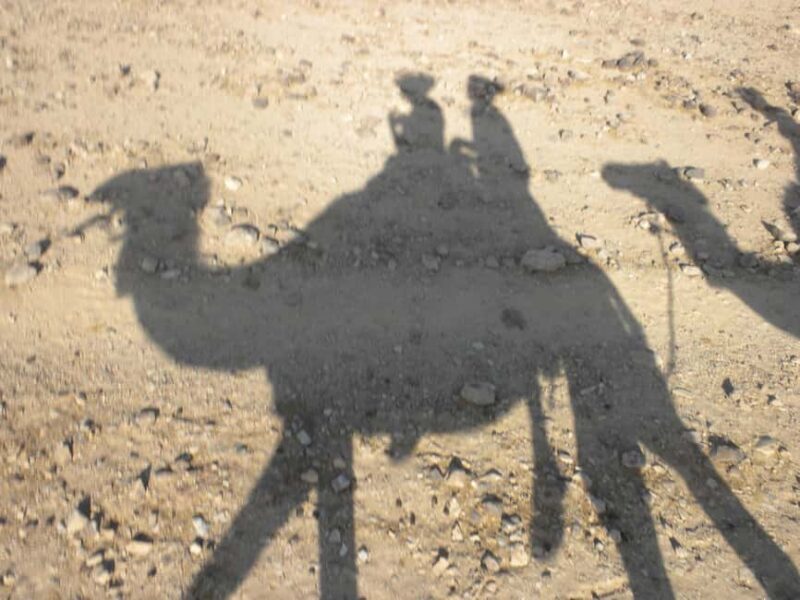 Agadir: Camel Ride With Tea & BBQ Dinner Option - Who Will Love This Tour?