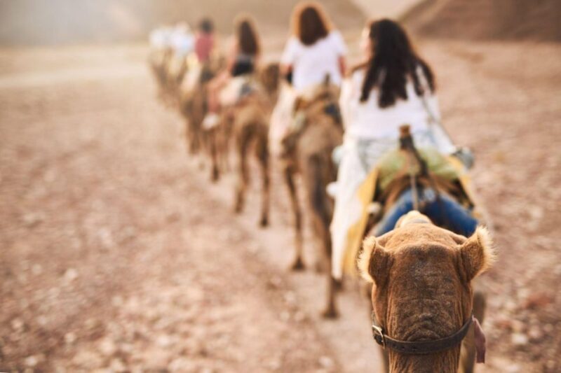Agadir: Camel Ride With Tea & BBQ Dinner Option - Agadir: Camel Ride With Tea & BBQ Dinner Option — A Genuine Adventure in Souss-Massa
