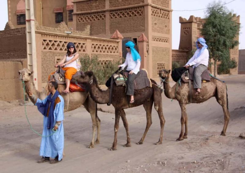 Agadir: Camel Ride With Tea & BBQ Dinner Option - Key Points
