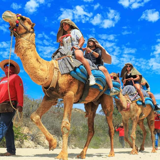 Agadir: Camel Ride With Tea & BBQ Dinner Option - Overview of the Camel Ride Experience