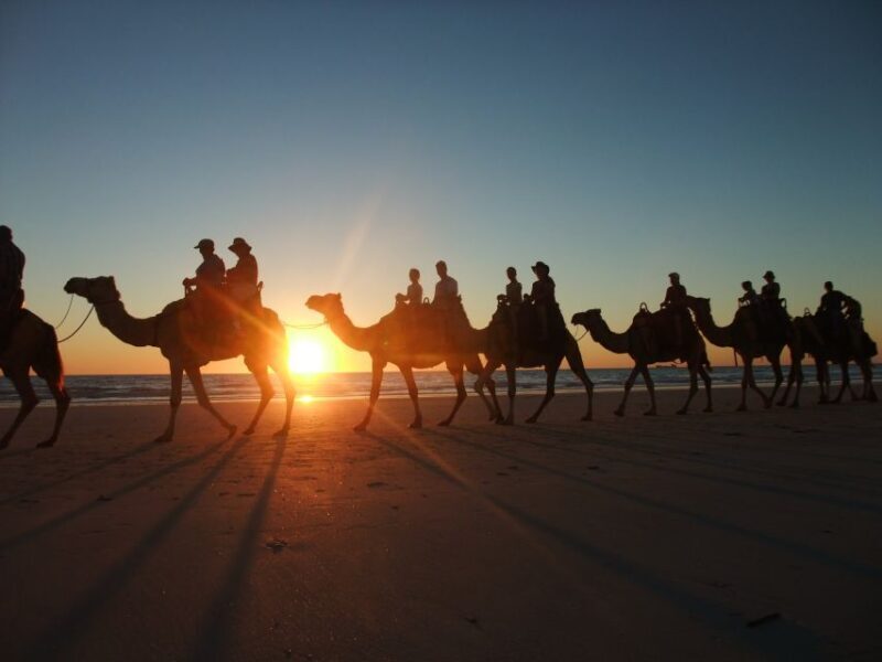 Agadir: Camel Ride With Tea & BBQ Dinner Option - BBQ Dinner Option — A Tasty Finish